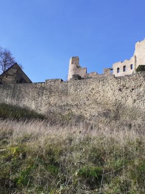 Burgruine Frauenstein 