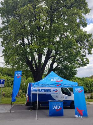 Weithin leuchtet das Blau