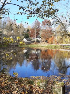 Schlossteich unterhalb vom Schloss
